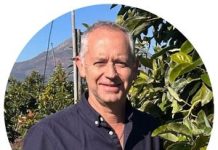 Densidad nutricional de los alimentos