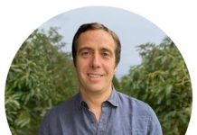 La industria del aguacate: competir menos, colaborar mejor